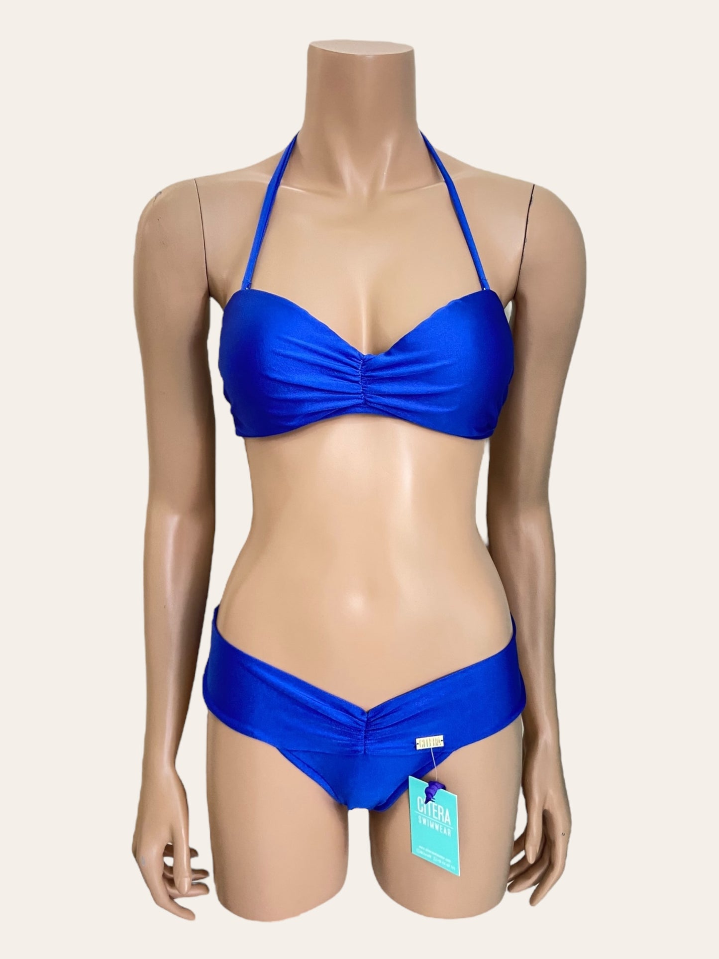 Caracola Azul Rey