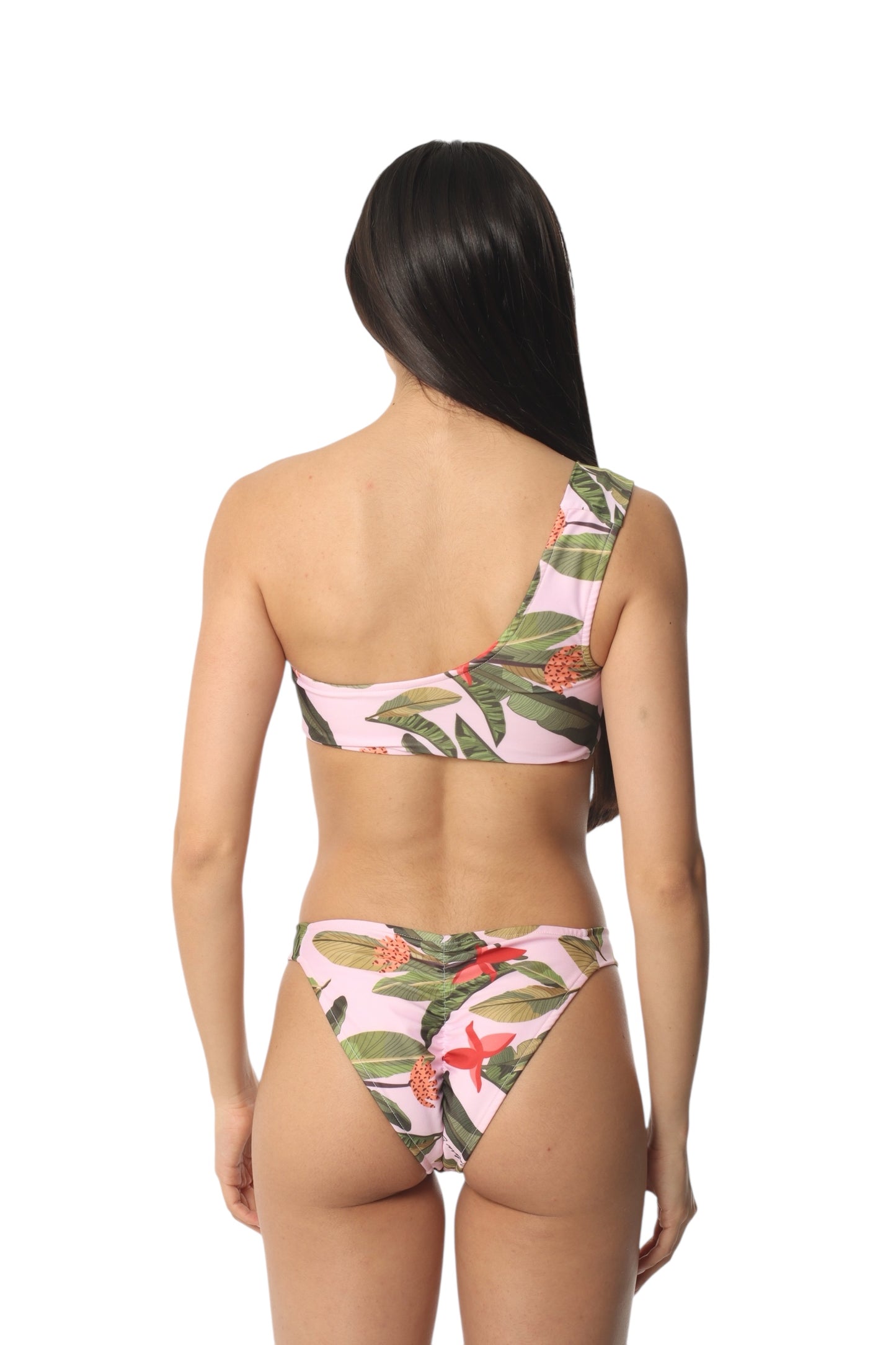 Península Palmera Tropical