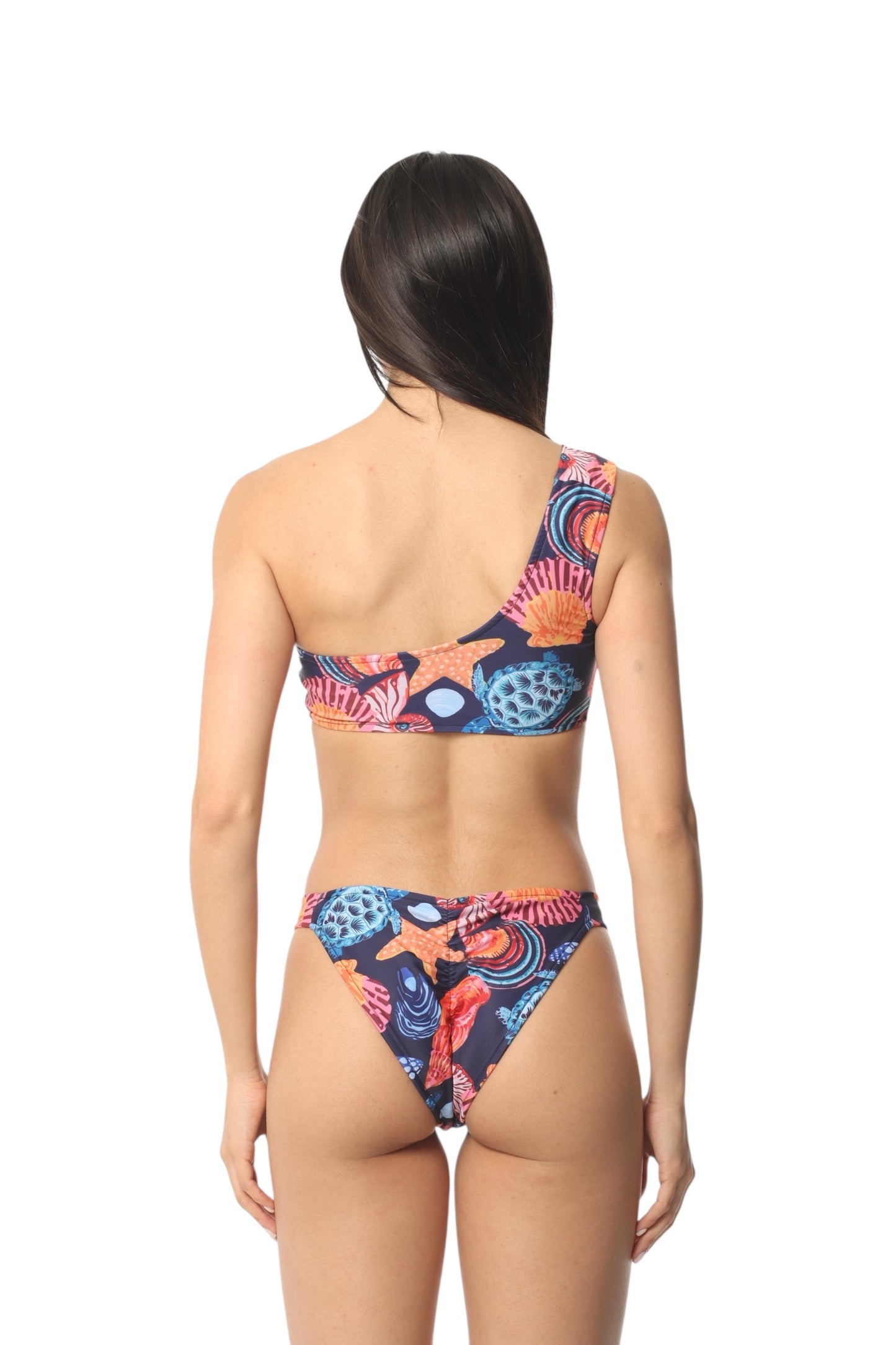 Península Tortuga Shell