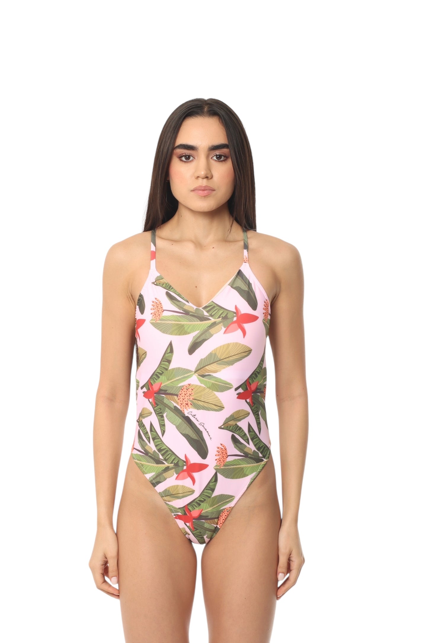 Sidney Palmera Tropical