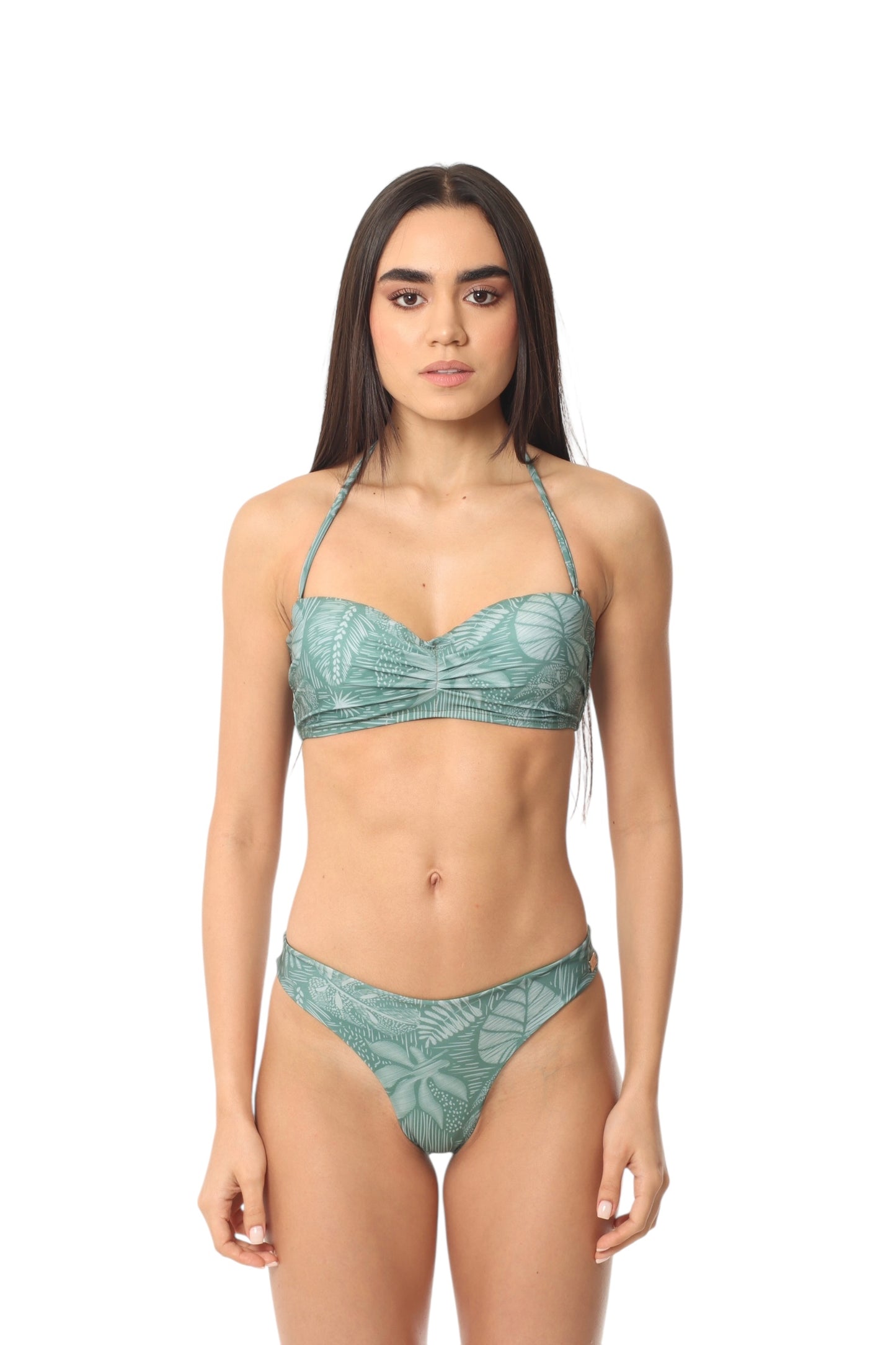 Caracola Hojas Verdes