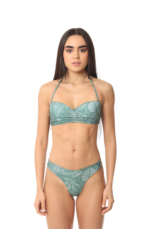 Caracola Hojas Verdes