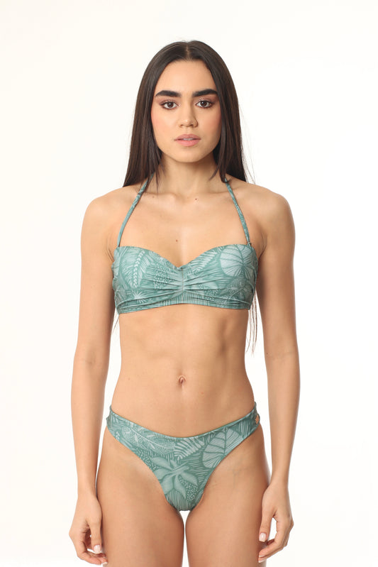 Caracola Hojas Verdes