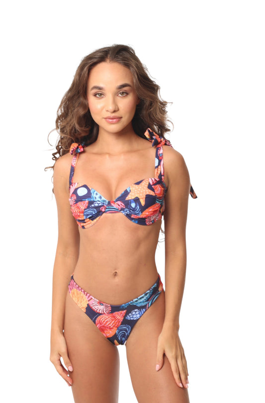 Génova Tortuga Shell