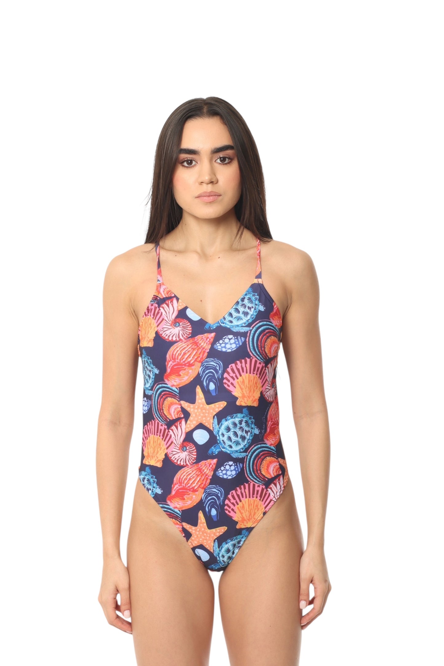 Sidney Tortuga Shell