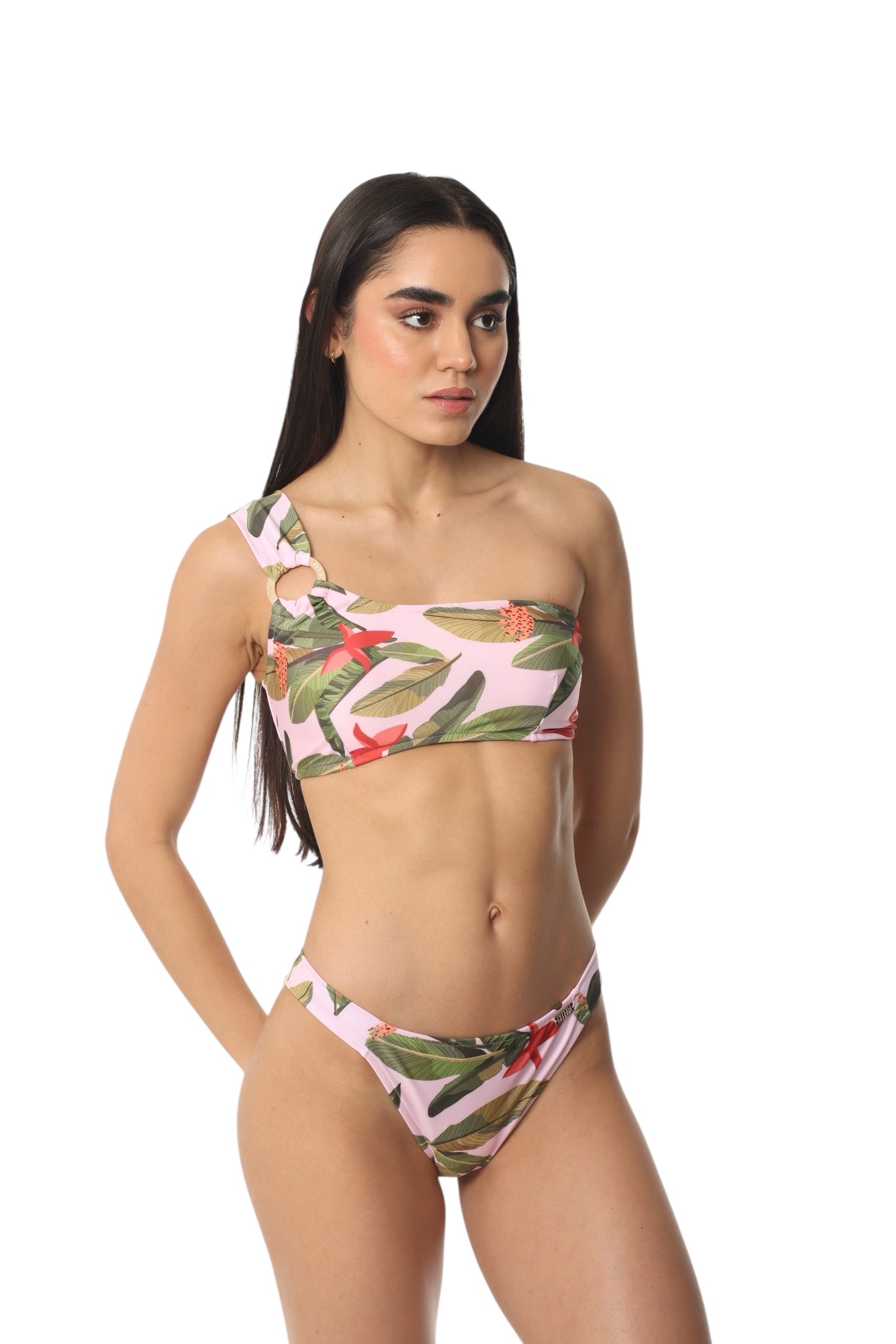 Península Palmera Tropical